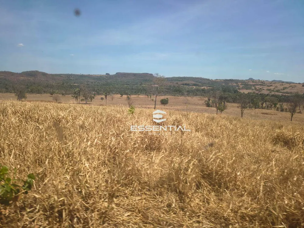 Fazenda, 2500 hectares - Foto 2