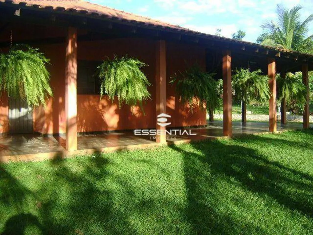 Chácara, 3 quartos, 10000 m² - Foto 4