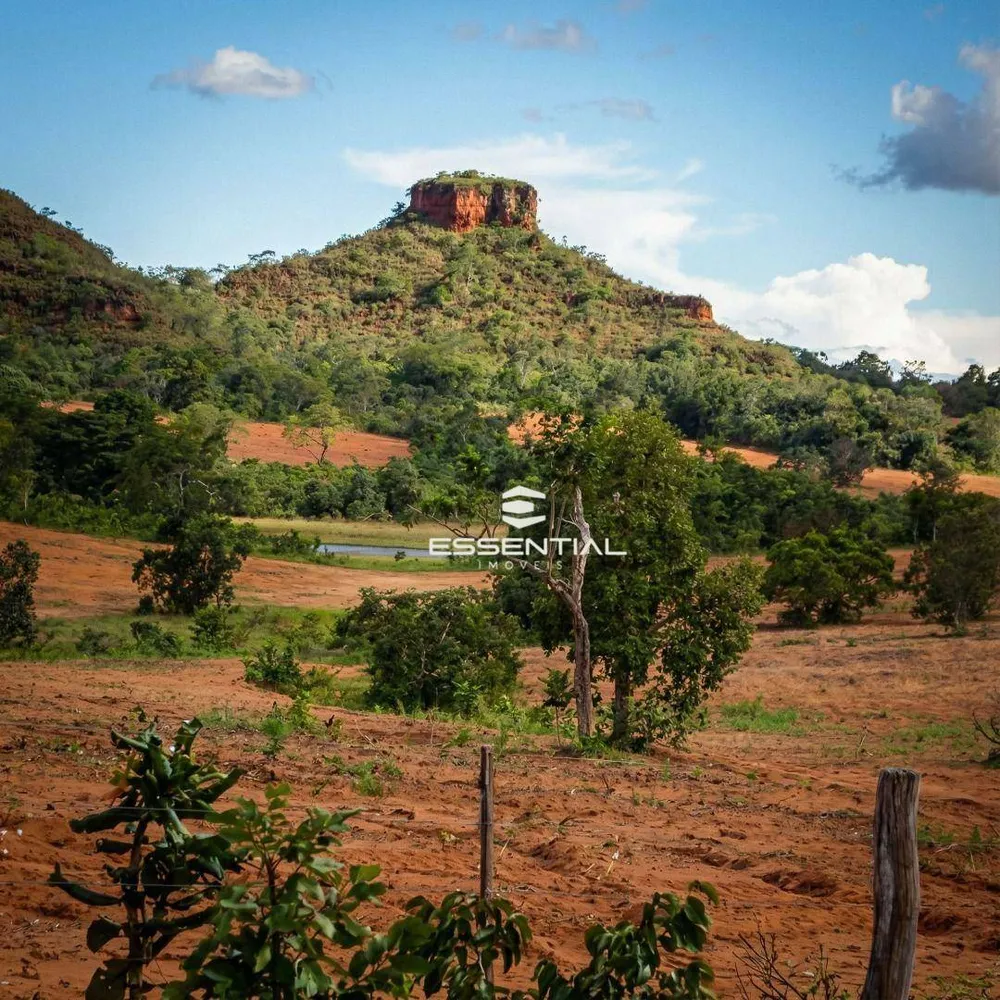 Fazenda, 5800 hectares - Foto 7