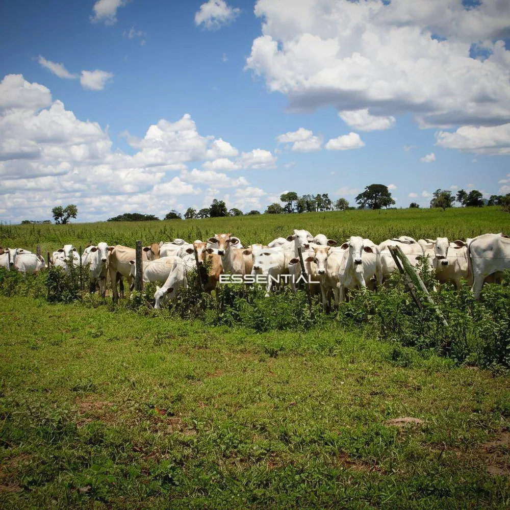 Fazenda, 5800 hectares - Foto 2