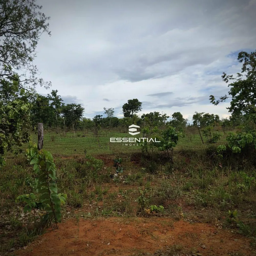 Fazenda, 5800 hectares - Foto 1
