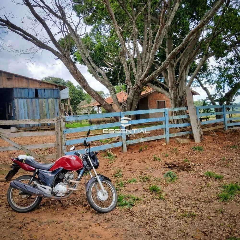 Fazenda, 5800 hectares - Foto 6