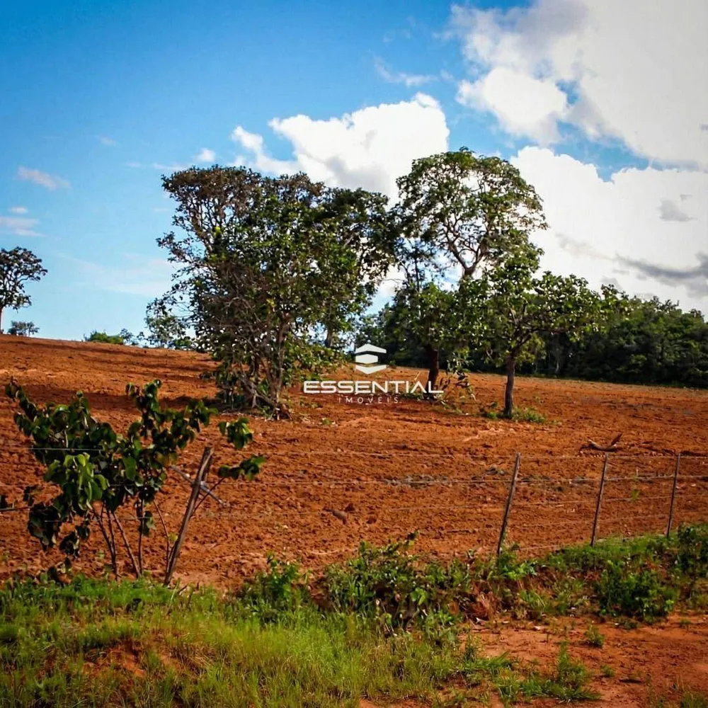 Fazenda, 5800 hectares - Foto 4