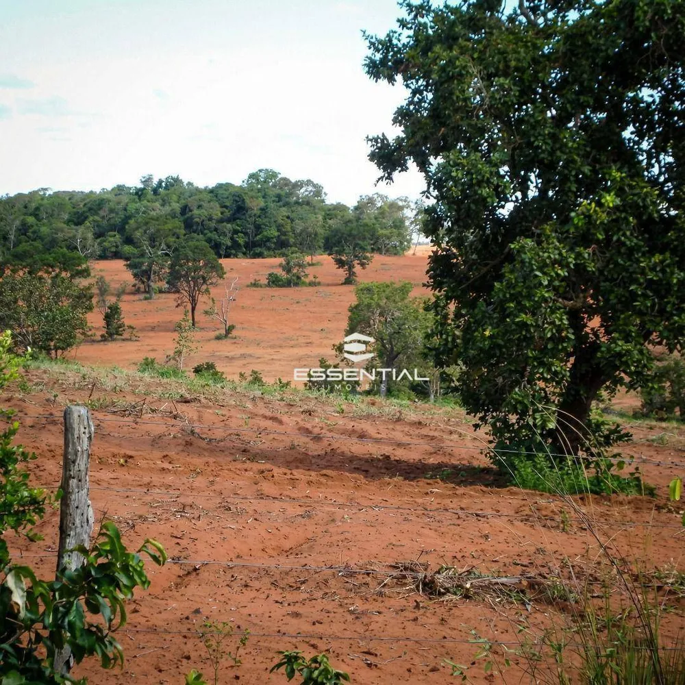 Fazenda, 5800 hectares - Foto 3
