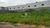Terreno, 200 m² - Foto 1