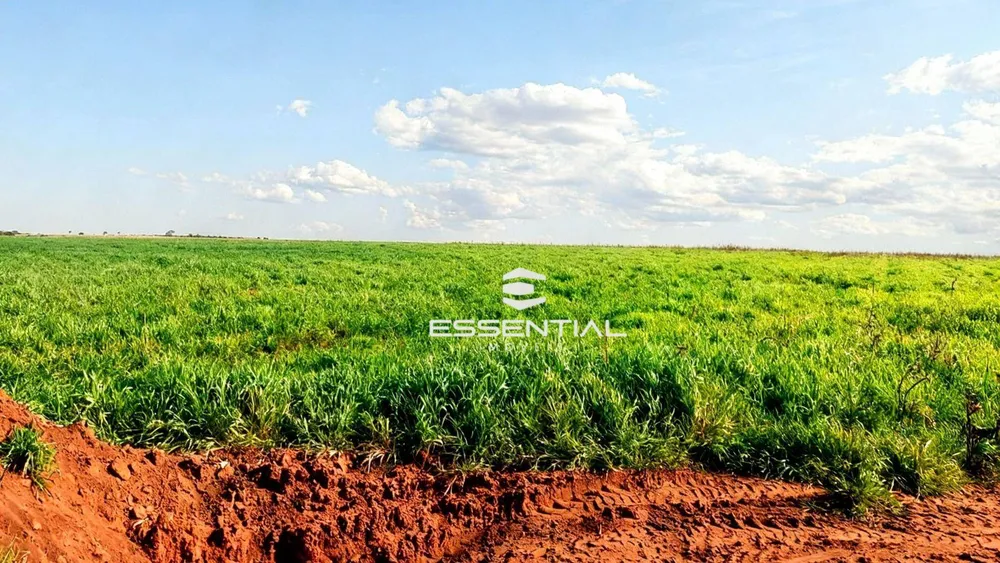 Fazenda, 1143 hectares - Foto 1