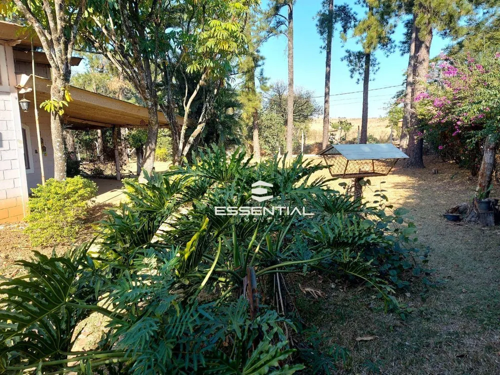 Chácara, 2 quartos, 4500 m² - Foto 5