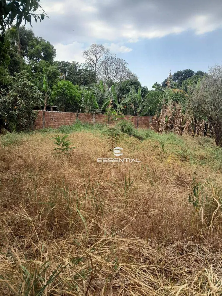 Chácara, 1 quarto, 1300 m² - Foto 4