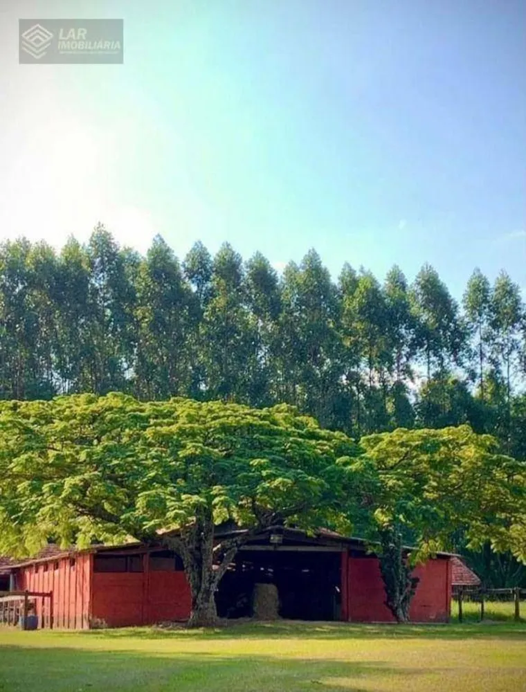 Fazenda, 14 hectares - Foto 6