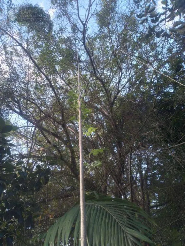 Casa, 3 quartos, 60 m² - Foto 3