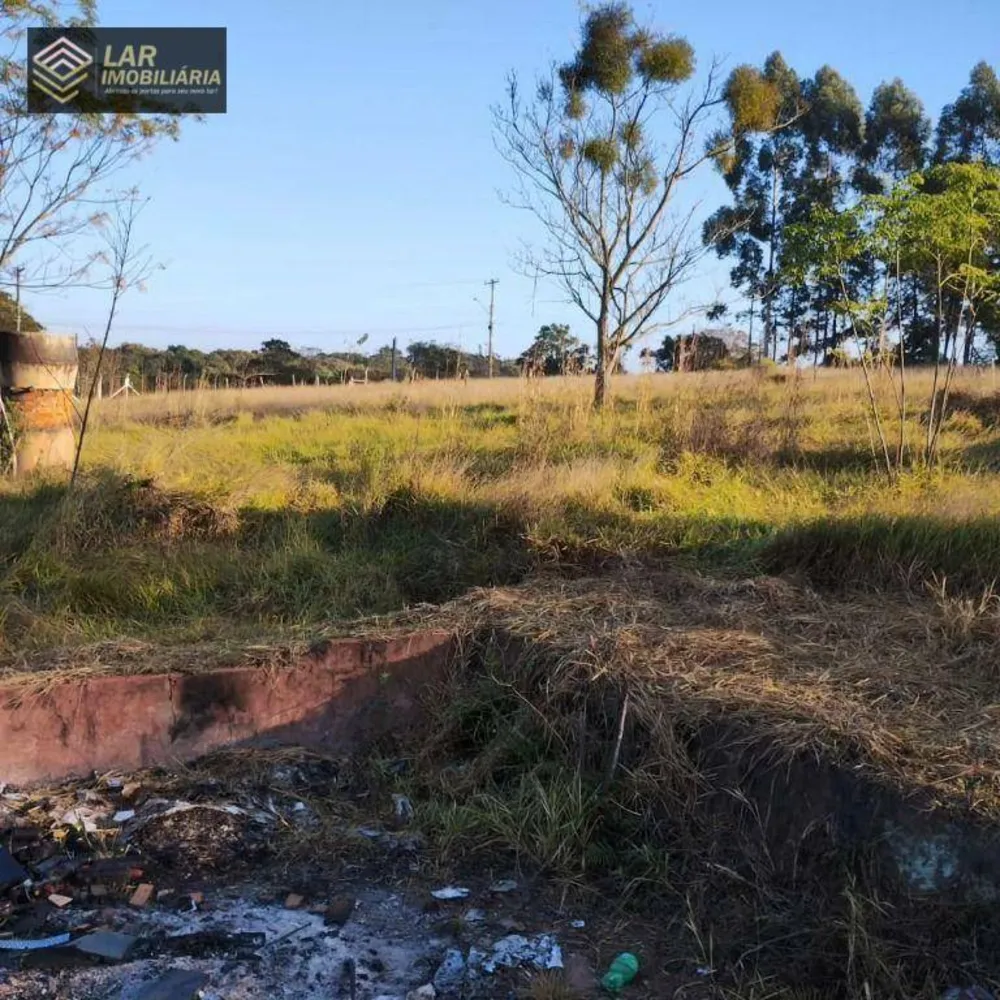 Terreno, 5000 m² - Foto 1