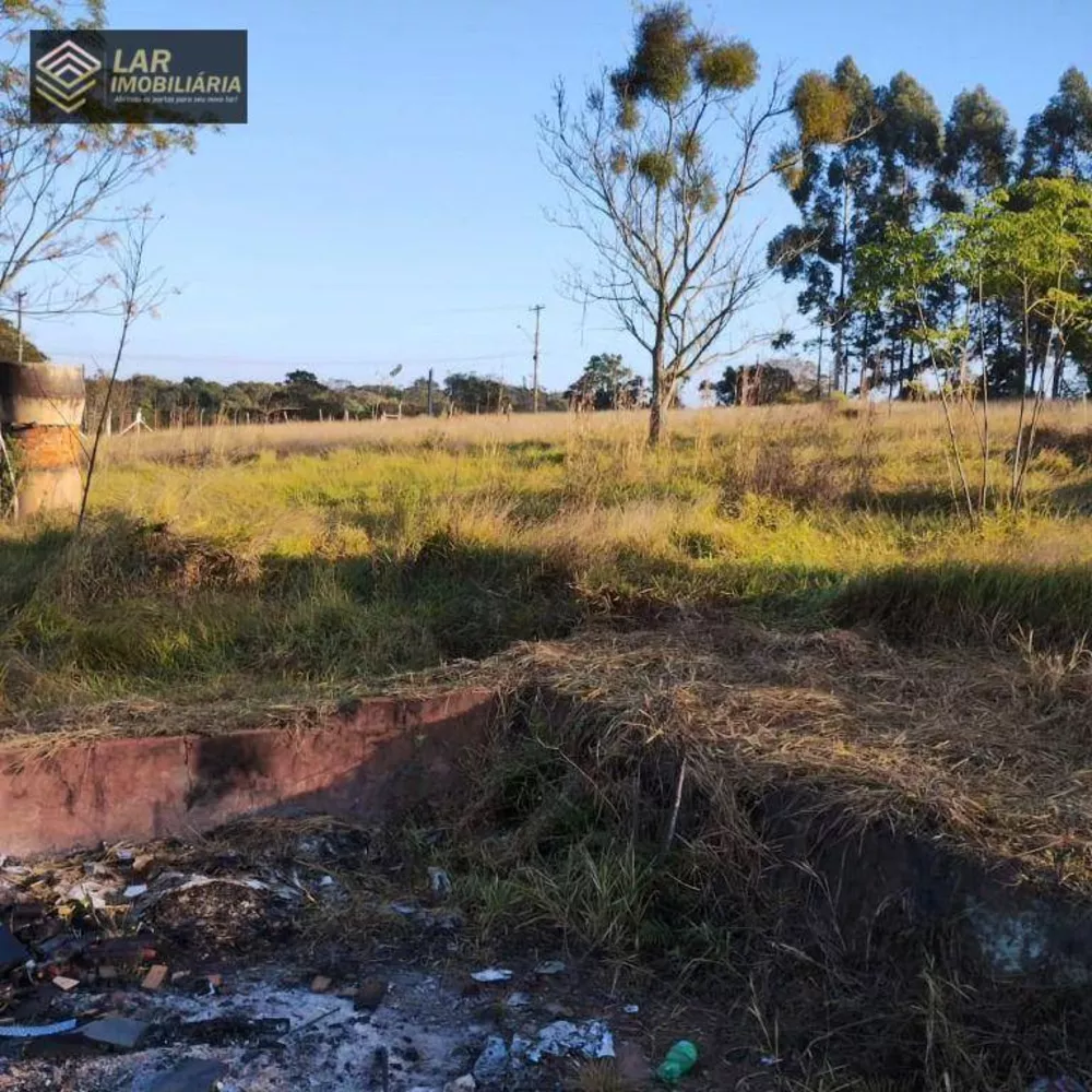 Terreno à venda, 5000M2 - Foto 1