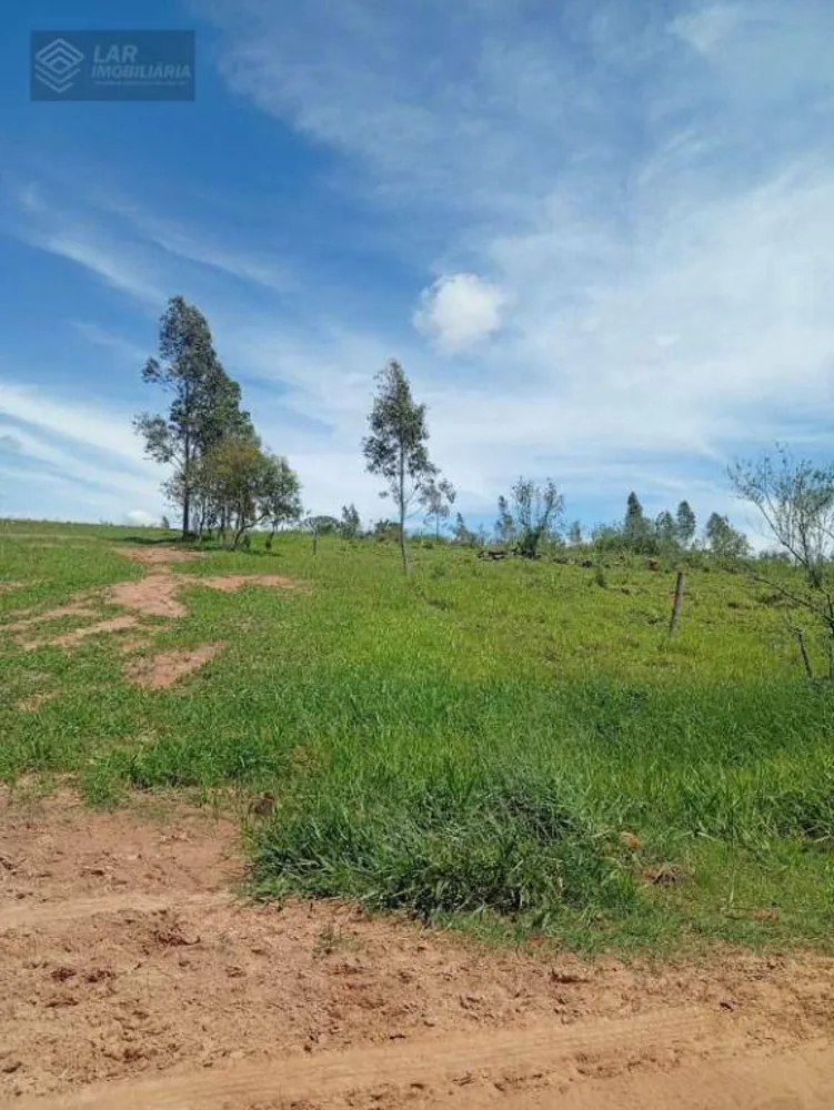 Terreno, 7 hectares - Foto 1