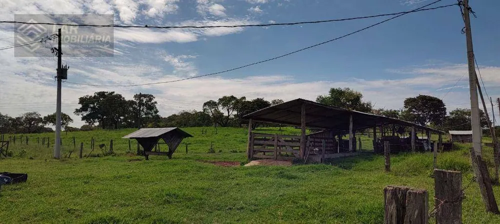 Sítio, 2 quartos, 6 hectares - Foto 1