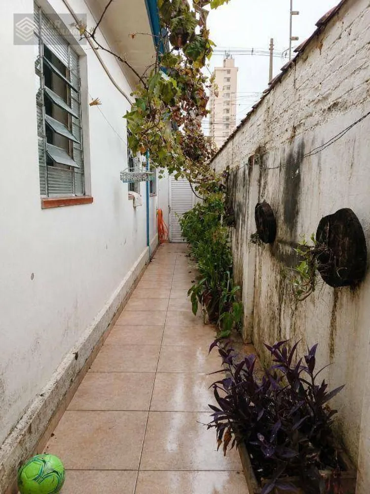Casa, 3 quartos, 230 m² - Foto 6