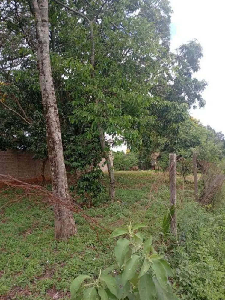 Terreno, 400 m² - Foto 2