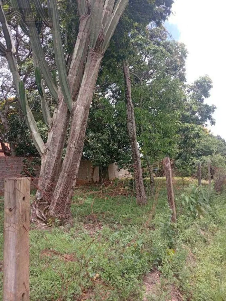 Terreno, 400 m² - Foto 6
