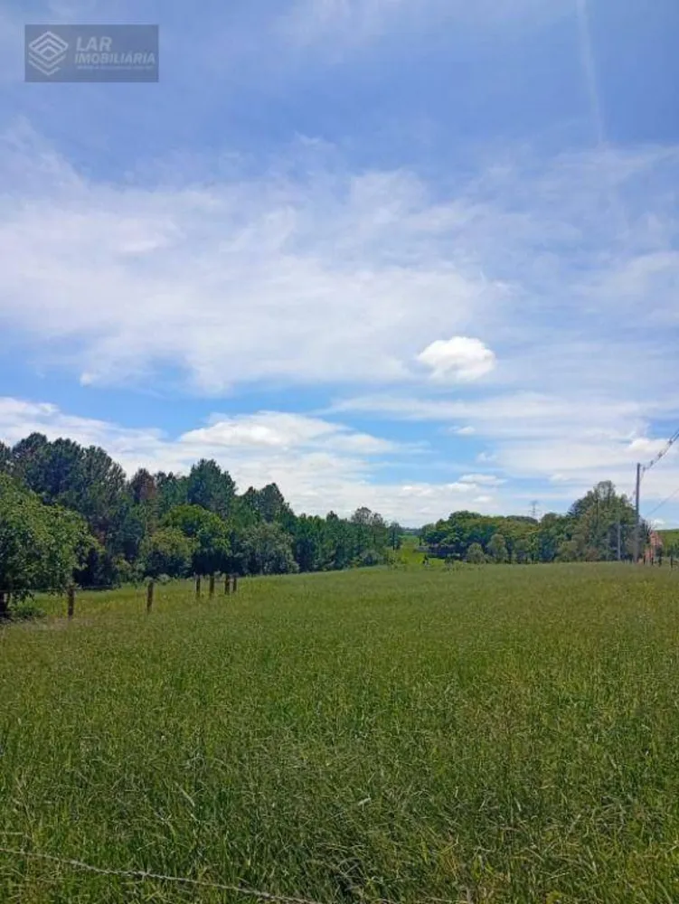 Terreno, 4 hectares - Foto 4