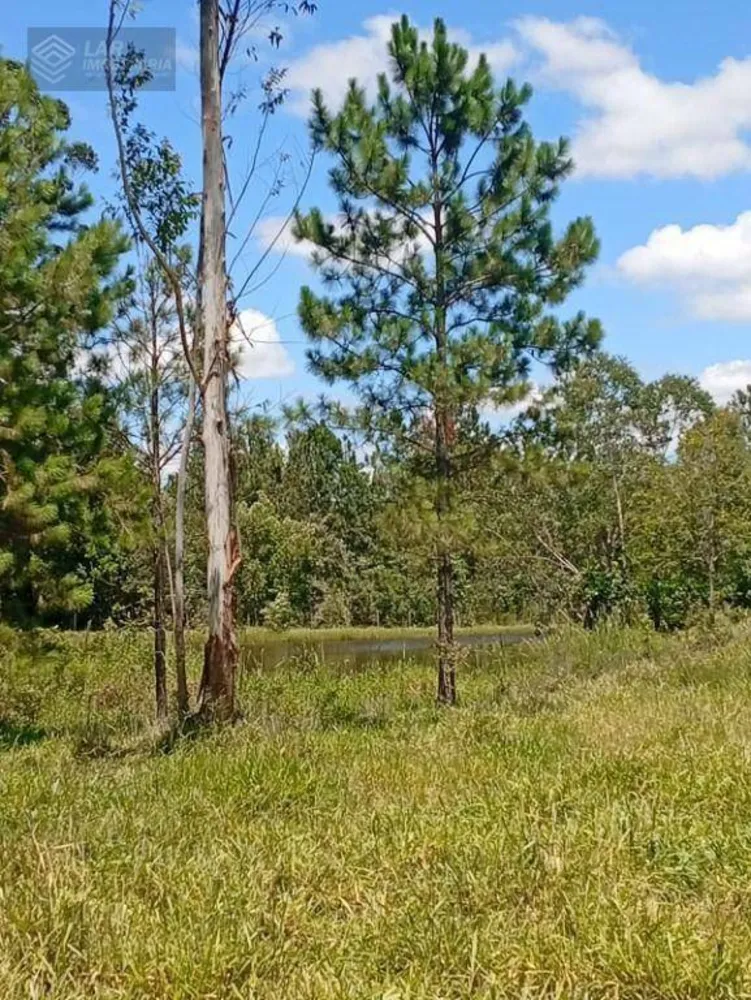 Terreno, 4 hectares - Foto 8