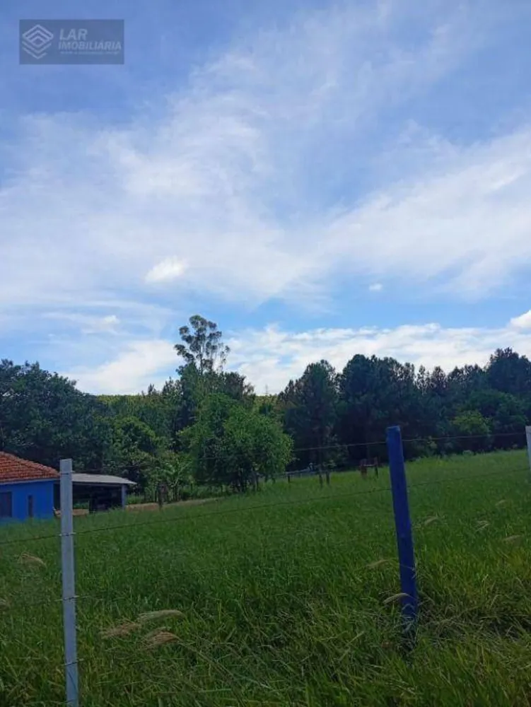 Terreno, 4 hectares - Foto 6