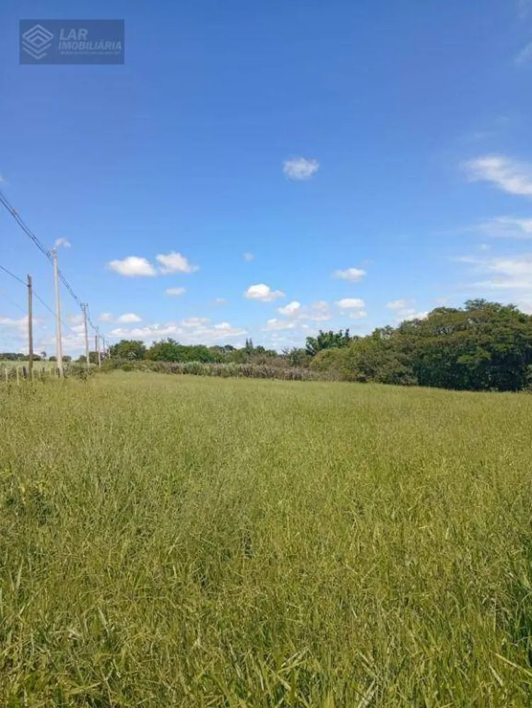 Terreno, 4 hectares - Foto 3