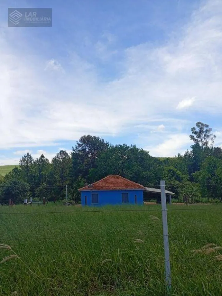 Terreno, 4 hectares - Foto 5