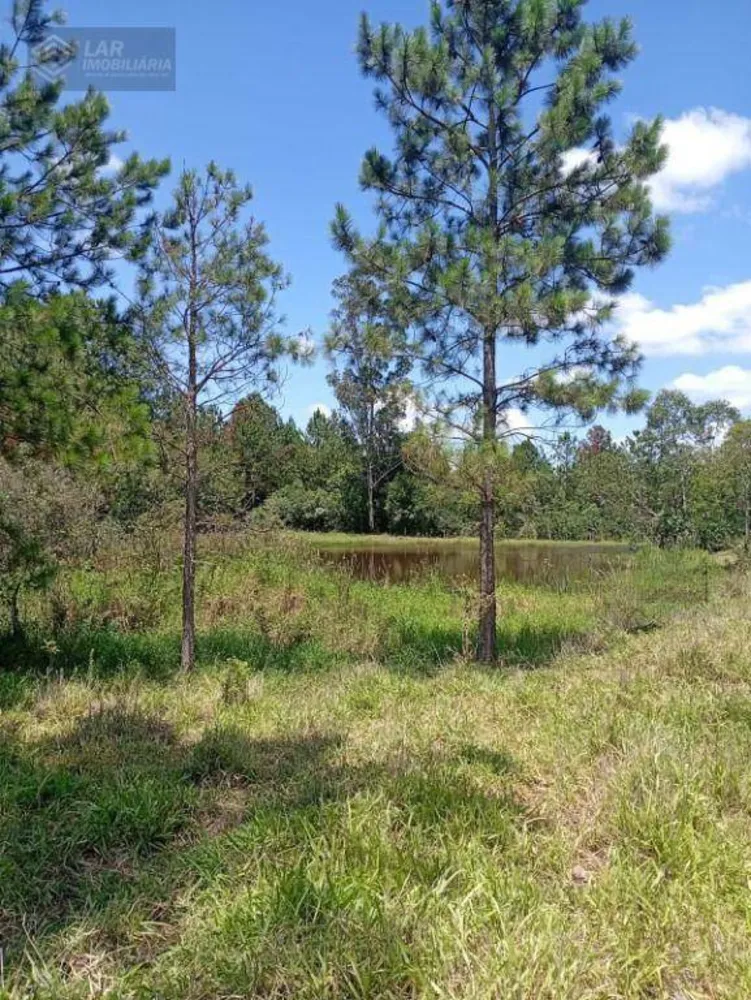 Terreno, 4 hectares - Foto 9