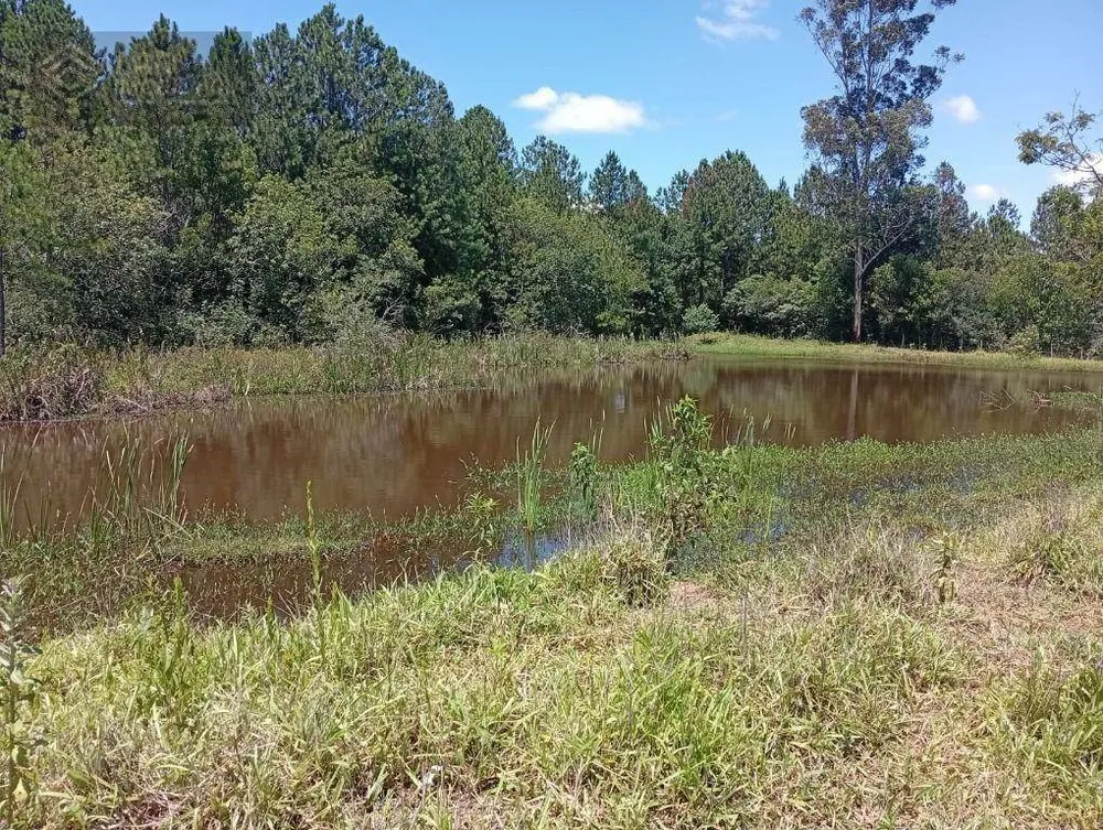 Terreno, 4 hectares - Foto 1