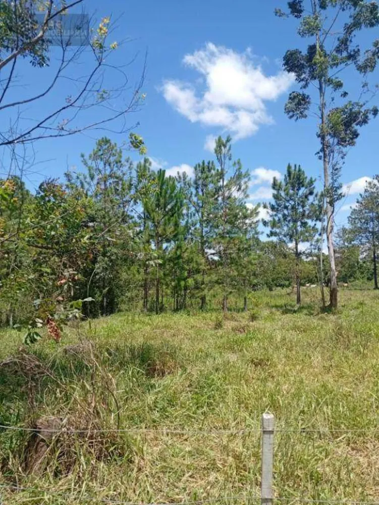 Terreno, 4 hectares - Foto 7