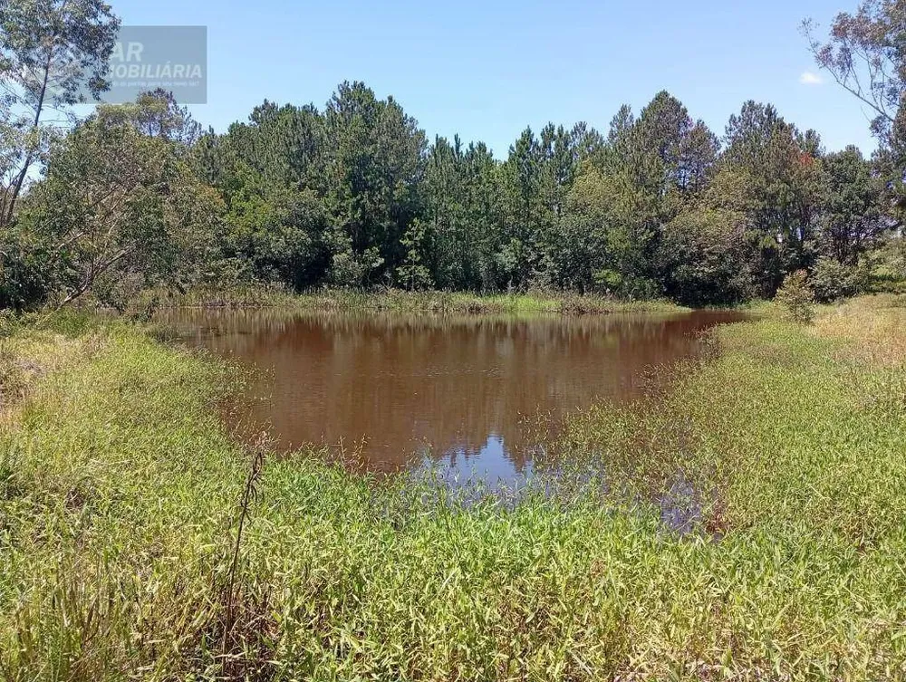 Terreno, 4 hectares - Foto 12
