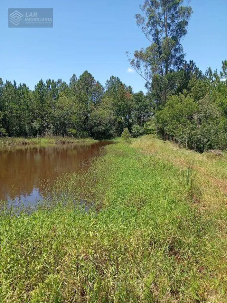 Terreno, 4 hectares - Foto 10