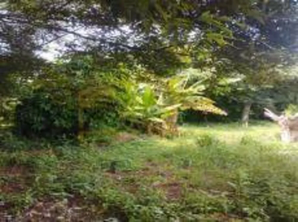 Terreno, 475 m² - Foto 2