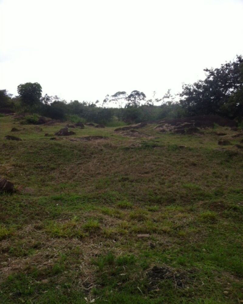 Terreno à venda, 35000m² - Foto 1