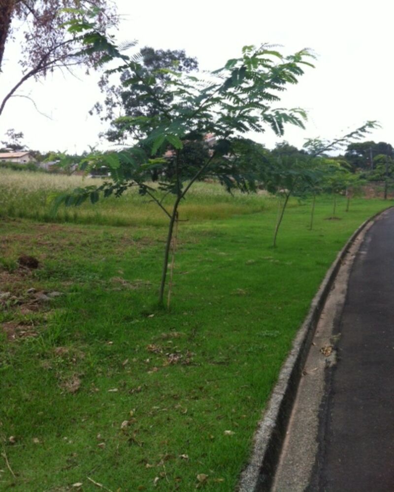 Terreno à venda, 35000m² - Foto 3