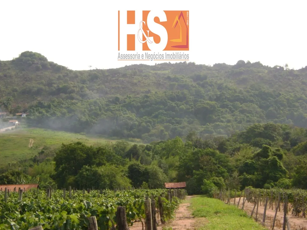 Sítio, 5 quartos, 10 hectares - Foto 4