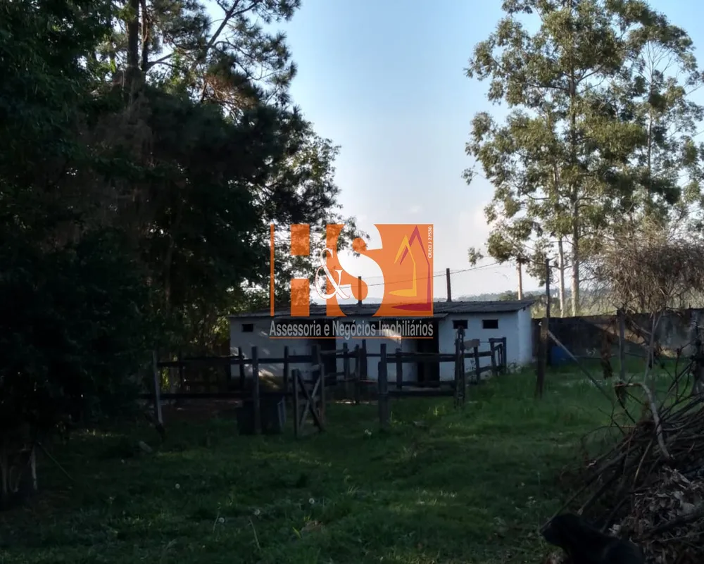Chácara, 3 quartos, 9039 m² - Foto 9