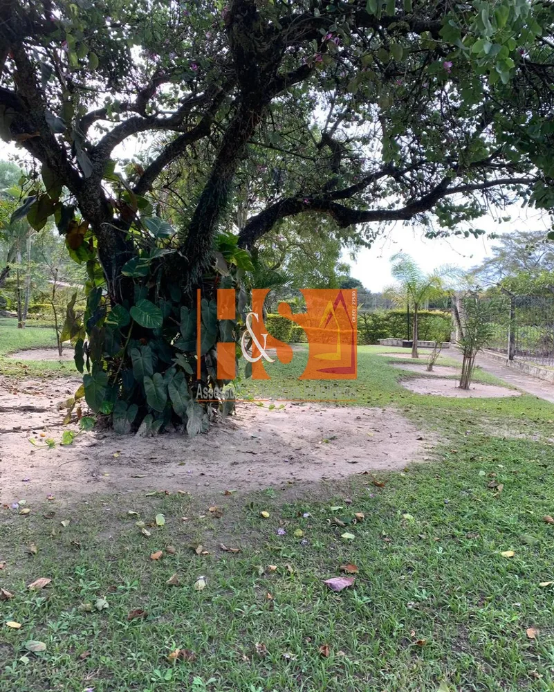 Sítio, 3 quartos, 4 hectares - Foto 10