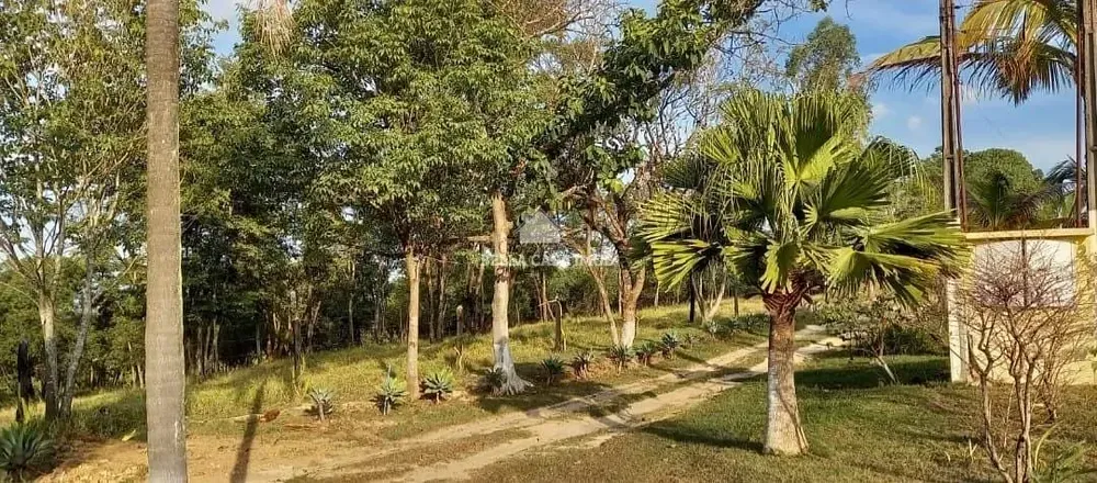 Sítio, 3 quartos, 151 m² - Foto 3