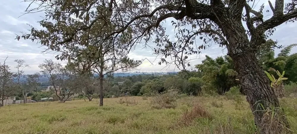Terreno, 1 hectares - Foto 6