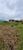 Terreno, 300 m² - Foto 6