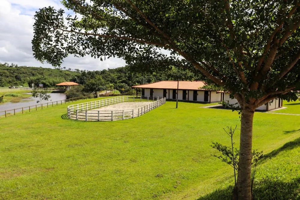 Terreno, 535 m² - Foto 7