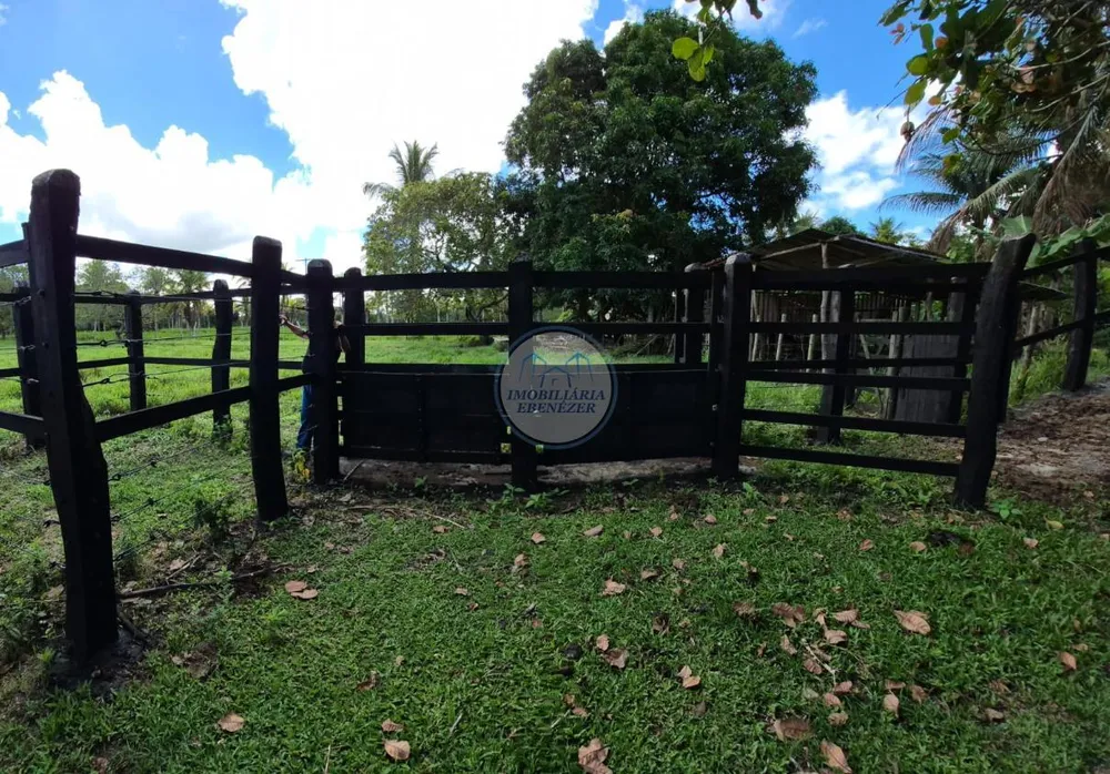 Sítio, 3 quartos, 12 hectares - Foto 11