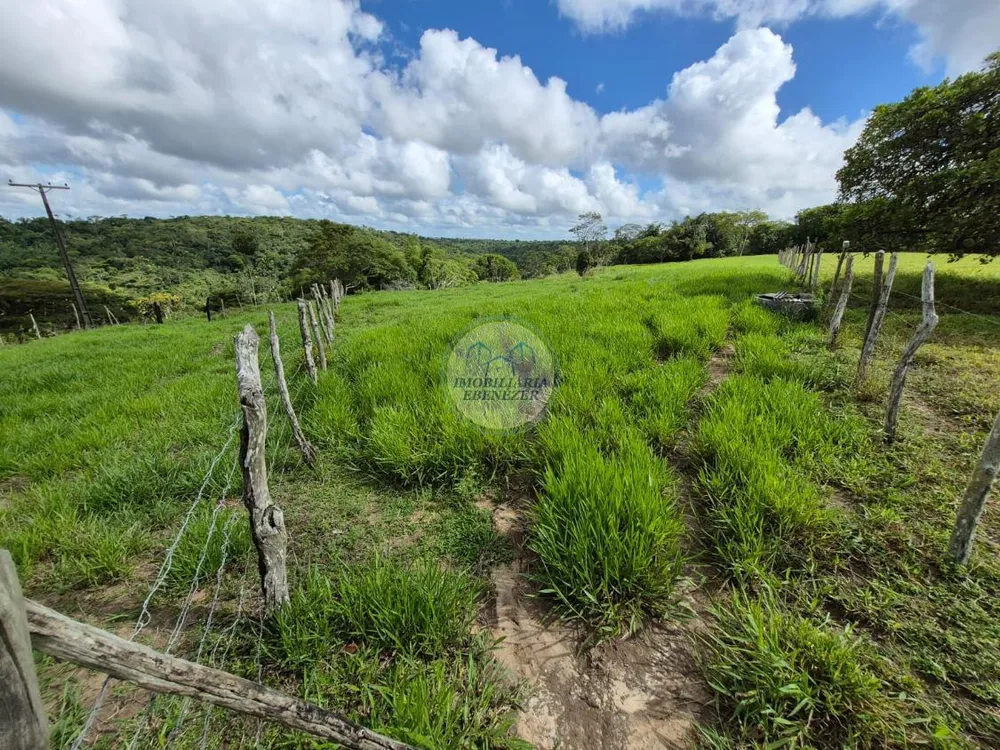 Sítio, 3 quartos, 12 hectares - Foto 7