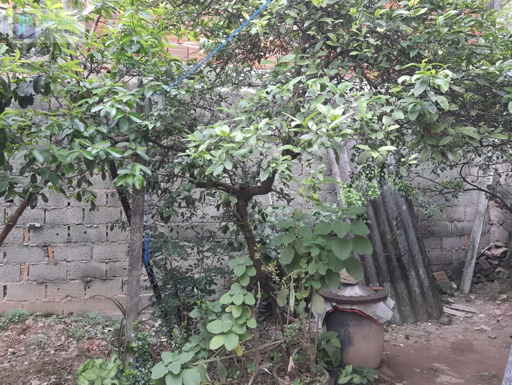 Casa, 3 quartos, 200 m² - Foto 16