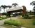 Terreno, 707 m² - Foto 2