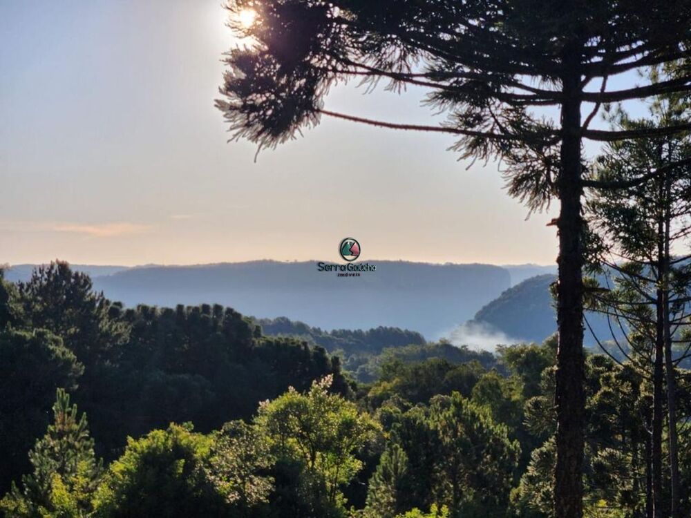 Terreno, 69 hectares - Foto 2