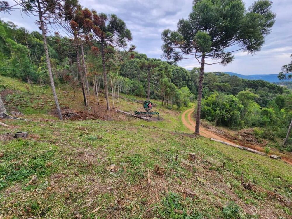 Terreno, 69 hectares - Foto 3