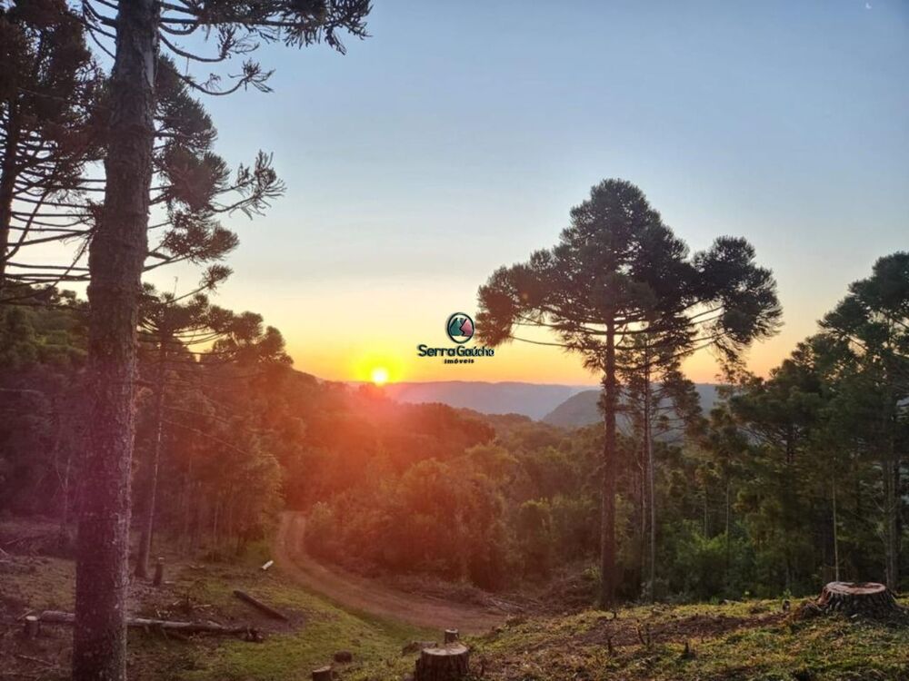 Terreno, 69 hectares - Foto 4