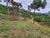 Loteamento e Condomínio, 69 hectares - Foto 3