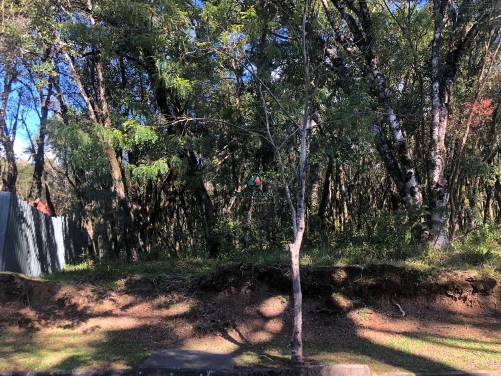 Terreno, 728 m² - Foto 1